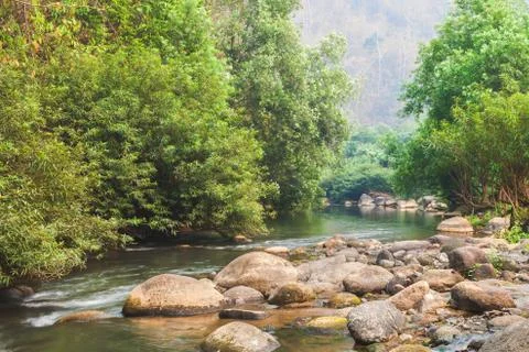 The river and stone with tree in forest  beautiful nature of Asian Stock Photos
