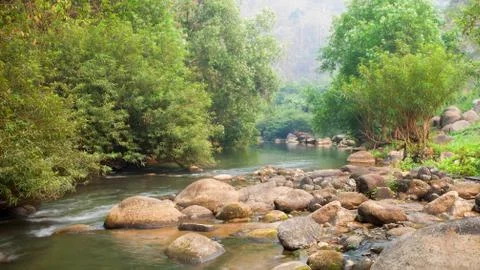 The river and stone with tree in forest  beautiful nature of Asian Stock Photos