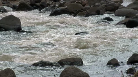 River And Stones Stock Footage 46101590