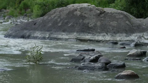River and stones Stock Footage 203902432
