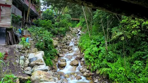 River and stream in the Amazon jungle rainforest. Water flowing through rocks. Stock Footage 76021728