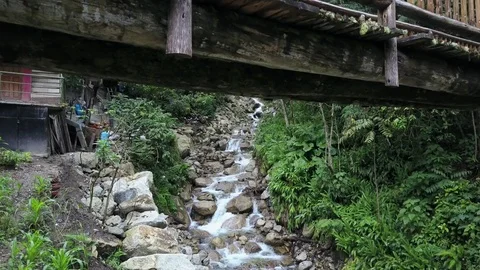 River and stream in the Amazon jungle rainforest. Water flowing through rocks. Stock Footage 76023279