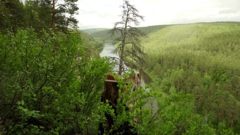 River and stump in the forest Urals Stock Footage 76183963