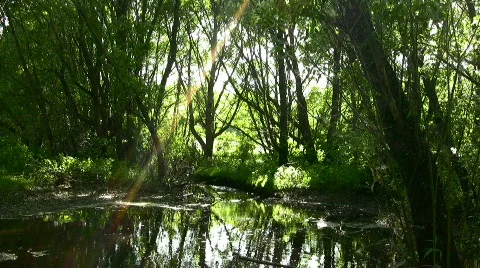 The river and sun beam Stock Footage 855966