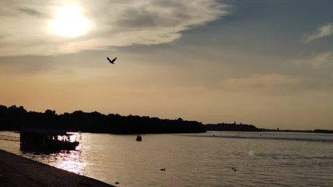 The river and sunset Stock-Footage 158682259