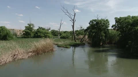 River and swamp Stock Footage 12267339