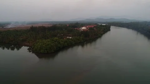 River and thickets of palm trees on the banks. Aerial view. Stock Footage 84972850