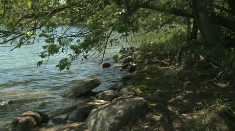 River and tree 動画素材 11070476