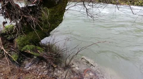 River and Tree Stock Footage 22009956