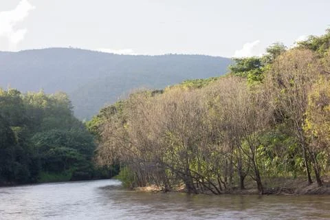 River and tree Stock Photos