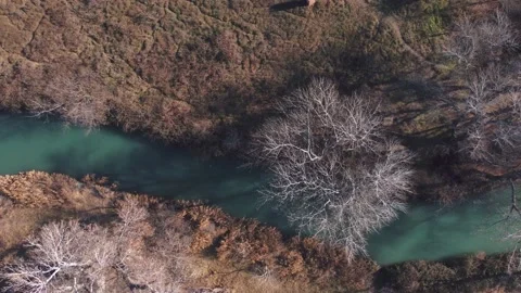 River And Trees From Above Stock Footage 168971444