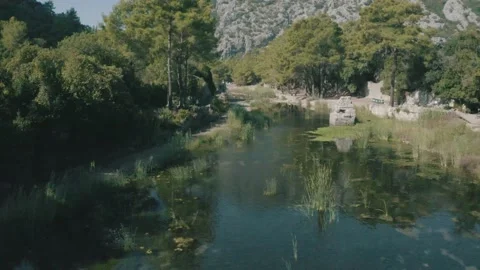 River And Trees Aerial Stock Footage 146268687