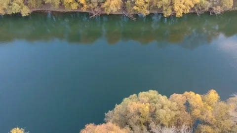 River and trees at autumn Stock Footage 82975231