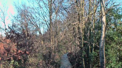 River And Trees Flowing Away Stock Footage 22493493