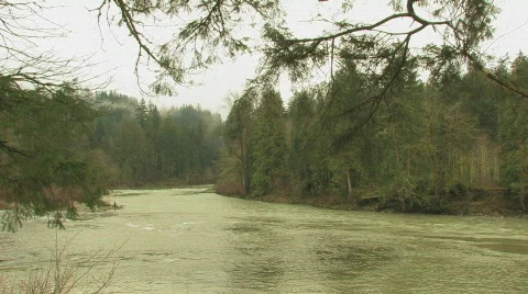 River and trees Stock Footage 125562
