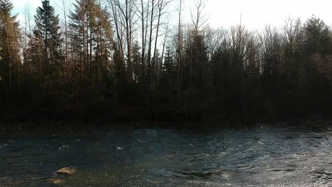 River and Trees Stock Footage 93462304