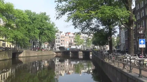 River and trees Stock Footage 94625596