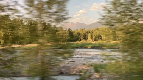 River and Trees Stock Footage 156973461