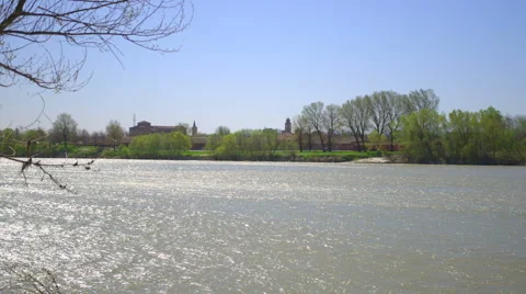 River and trees moved by the wind with city in background Vídeo Stock 48815098