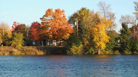 River and trees (panning) Stock Footage 55855278