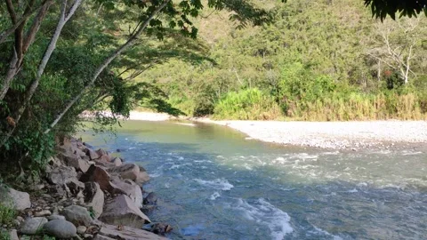 River and trees in Peru 库存影片 281528000