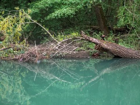 River and trees Stock Photos