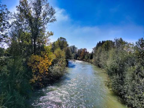 River and trees Stock Photos
