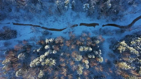 River and trees in the snow. Top-down view. The tops of trees in snow Stock Footage 151333345