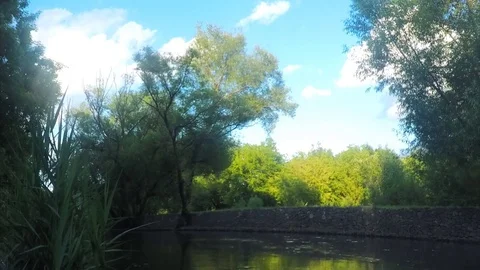 River And Trees in Summer park Timelapse Stock Footage
