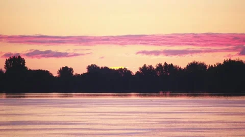 River and trees in yellow and vanilla sky before sunrise with flying duck Stock Footage 130863326