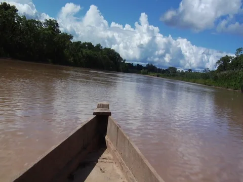 River and Tropical Trees in Amazon Jungle Rainforest Seen from Aboard Boat Stock Footage 112943661