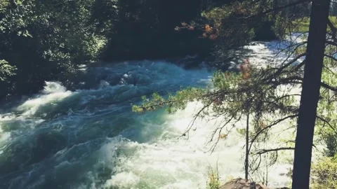 River and Waterfall Flowing Through Forest Stock Footage 310429847