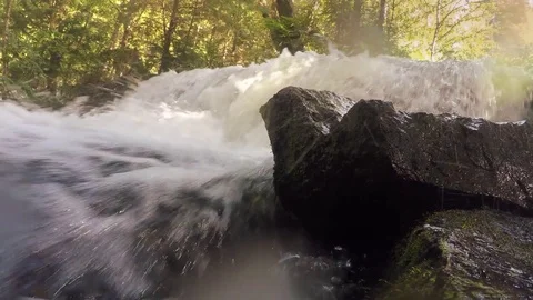 River and waterfall in the forest Stock Footage 81921832