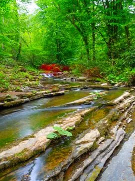 The river and waterfall in spring Stock Photos