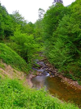 The river and waterfall in spring Stock Photos