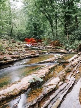 The river and waterfall in spring Stock Photos