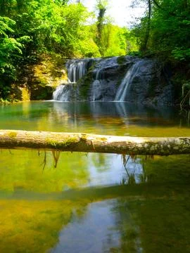 The river and waterfall in spring 库存照片