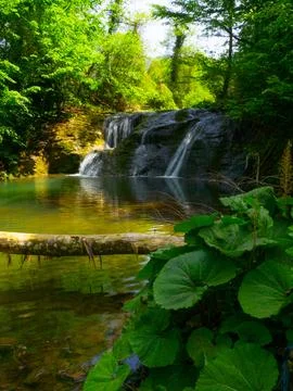 The river and waterfall in spring Stock Photos