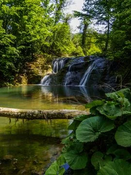 The river and waterfall in spring Stock Photos