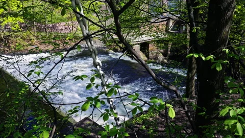 River and waterfall with trees and a metal chain in the foreground Stock Footage 274662586