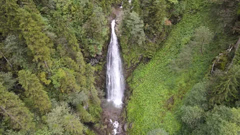 River and Waterfall in Wild Forest Stock Footage 332545556