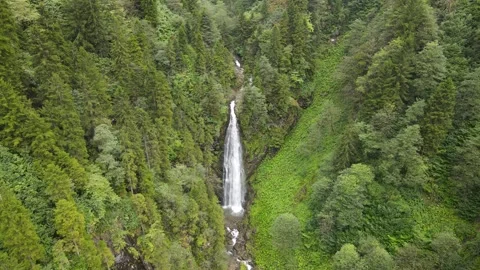 River and Waterfall in Wild Forest Stock Footage 332599369