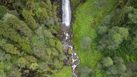River and Waterfall in Wild Forest 스톡 동영상 332707355