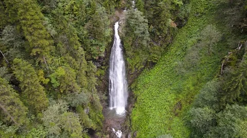 River and Waterfall in Wild Forest Vídeos de archivo 334548466