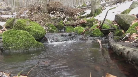 River and waterfall in winter in the forest with moss Stock Footage 76525192