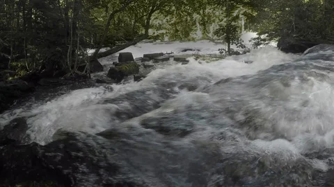 River and waterfall in the woods Stock Footage 81921532
