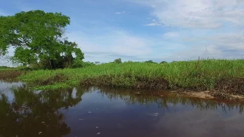 River and Wetlands Stock Footage 73232502
