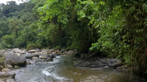 River Anzu in the Andes, a river with large boulders lined with trees Stock Footage 151281832
