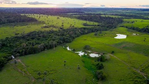 River APP protection in Amazon ranching following Forest Code Stock Photos