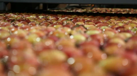A river of apples Vídeo Stock 32788263